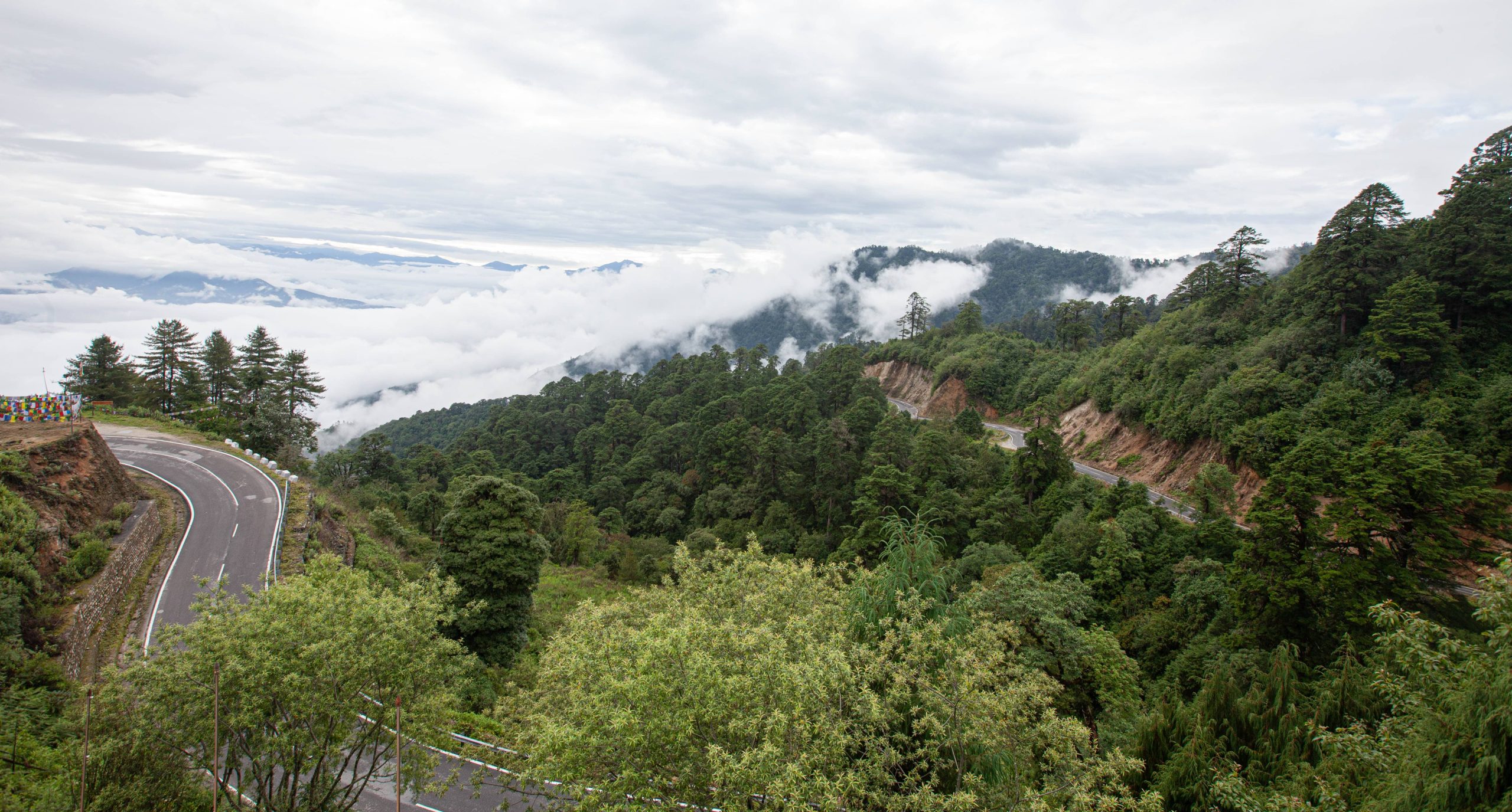 dochula18 (1 of 1)